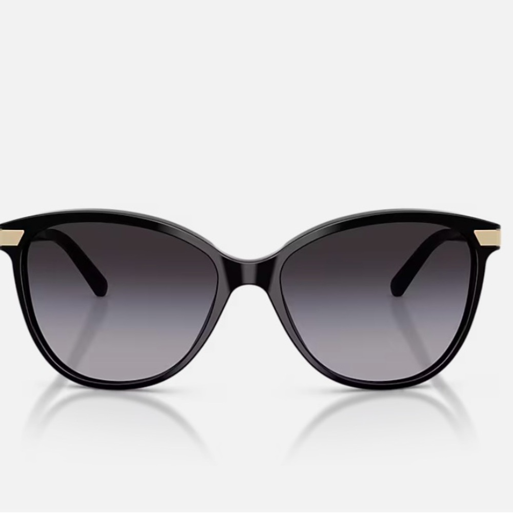 Burberry Black and Gold Sunglasses